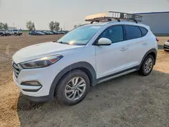 KM8J3CA48HU287845 2017 HYUNDAI TUCSON