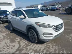 KM8J3CA48HU293595 2017 HYUNDAI TUCSON