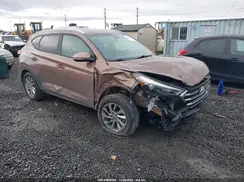 KM8J3CA48HU490511 2017 HYUNDAI TUCSON