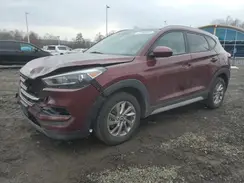 KM8J3CA48HU496986 2017 HYUNDAI TUCSON