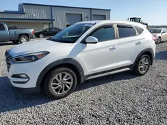 KM8J3CA49HU508093 2017 HYUNDAI TUCSON