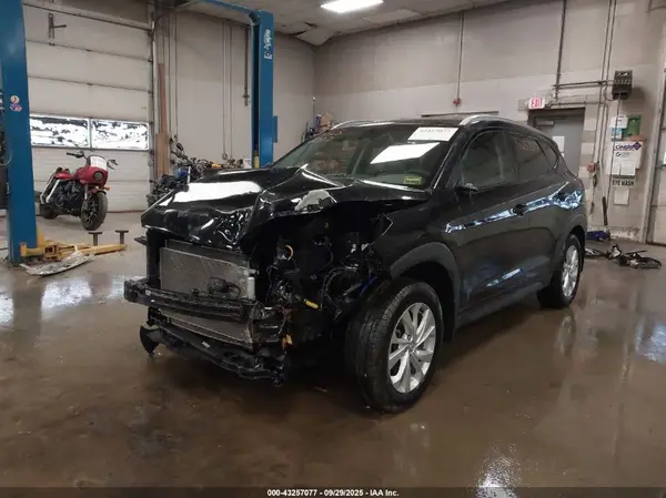 KM8J3CA49LU123612 2020 HYUNDAI TUCSON - Image 2