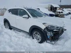 KM8J3CA4XHU420413 2017 HYUNDAI TUCSON
