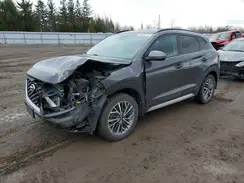 KM8J3CAL8LU102600 2020 HYUNDAI TUCSON