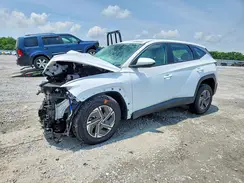 KM8JADD17TU407527 2026 HYUNDAI TUCSON