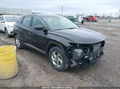 KM8JB3AE1PU197687 2023 HYUNDAI TUCSON