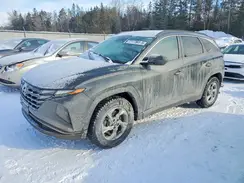 KM8JB3AE2NU045253 2022 HYUNDAI TUCSON