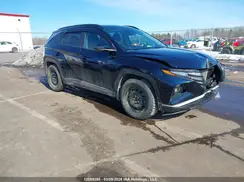 KM8JB3AE2PU248954 2023 HYUNDAI TUCSON