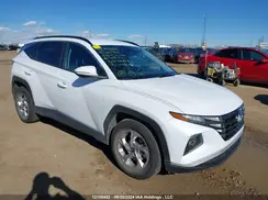 KM8JB3AE3PU187128 2023 HYUNDAI TUCSON