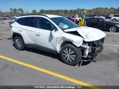KM8JB3AE4PU222226 2023 HYUNDAI TUCSON