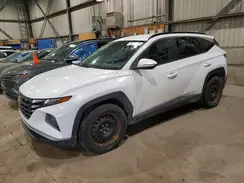 KM8JB3AE5PU189771 2023 HYUNDAI TUCSON