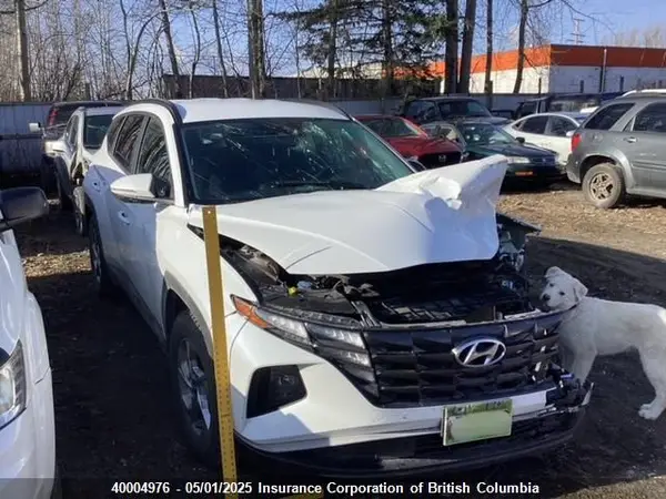 KM8JB3AEXNU048501 2022 HYUNDAI TUCSON - Image 1