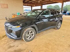 KM8JB3DE2RU275716 2024 HYUNDAI TUCSON