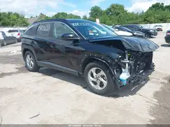 KM8JB3DE2RU281094 2024 HYUNDAI TUCSON