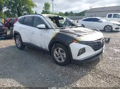 KM8JB3DE3RU281010 2024 HYUNDAI TUCSON