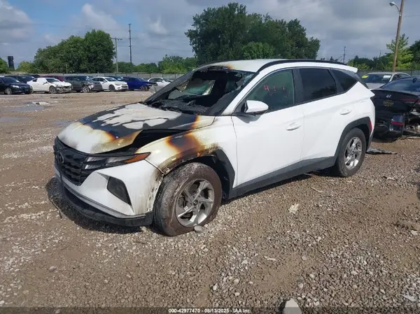 KM8JB3DE3RU281010 2024 HYUNDAI TUCSON - Image 2
