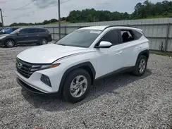 KM8JB3DE3RU282609 2024 HYUNDAI TUCSON