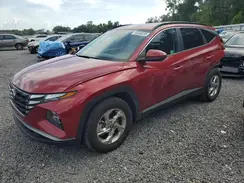 KM8JB3DE4RU329601 2024 HYUNDAI TUCSON
