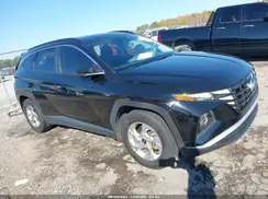 KM8JB3DE5RU309227 2024 HYUNDAI TUCSON