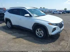KM8JB3DE5RU317344 2024 HYUNDAI TUCSON