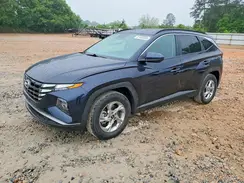 KM8JB3DE5RU334161 2024 HYUNDAI TUCSON
