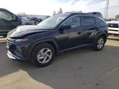 KM8JB3DE6RU272558 2024 HYUNDAI TUCSON