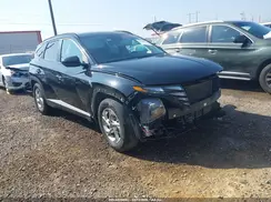 KM8JB3DE6RU279851 2024 HYUNDAI TUCSON