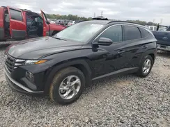 KM8JB3DE6RU281051 2024 HYUNDAI TUCSON