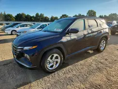 KM8JB3DE6RU290929 2024 HYUNDAI TUCSON