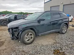 KM8JB3DE6RU317739 2024 HYUNDAI TUCSON