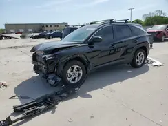 KM8JB3DE7RU301761 2024 HYUNDAI TUCSON