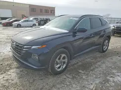 KM8JB3DE7RU305423 2024 HYUNDAI TUCSON
