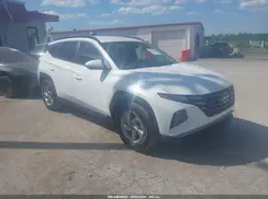 KM8JB3DE8RU272710 2024 HYUNDAI TUCSON