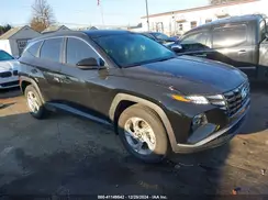KM8JB3DE8RU304992 2024 HYUNDAI TUCSON