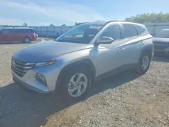 KM8JB3DE8RU309383 2024 HYUNDAI TUCSON