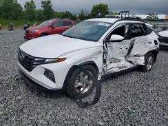KM8JB3DE9RU298331 2024 HYUNDAI TUCSON