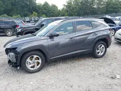 KM8JB3DE9RU309036 2024 HYUNDAI TUCSON