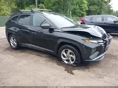 KM8JB3DEXRU281439 2024 HYUNDAI TUCSON