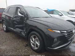 KM8JB3DEXRU316917 2024 HYUNDAI TUCSON