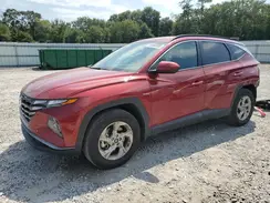 KM8JB3DEXRU349304 2024 HYUNDAI TUCSON