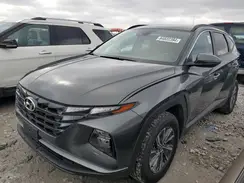 KM8JBCA10PU085623 2023 HYUNDAI TUCSON