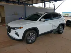 KM8JBCA10PU089199 2023 HYUNDAI TUCSON