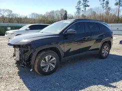 KM8JBCA10PU097285 2023 HYUNDAI TUCSON