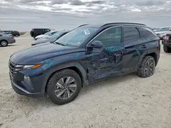 KM8JBCA10PU108933 2023 HYUNDAI TUCSON