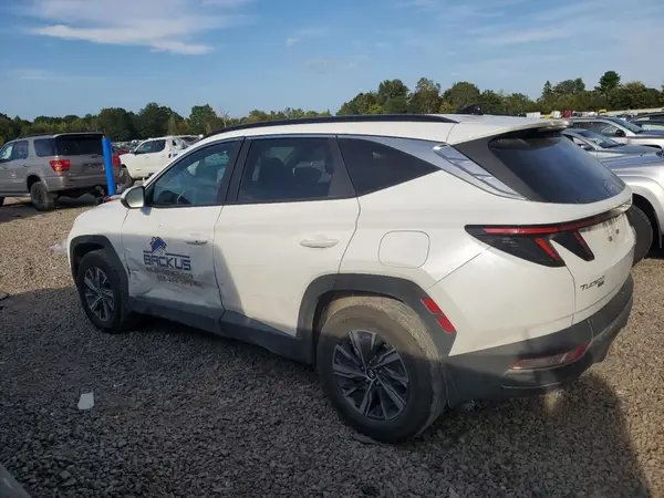 KM8JBCA11NU066804 2022 HYUNDAI TUCSON - Image 2