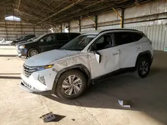 KM8JBCA11PU090555 2023 HYUNDAI TUCSON