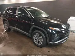 KM8JBCA11PU095982 2023 HYUNDAI TUCSON