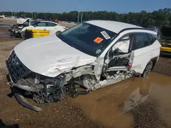 KM8JBCA11PU101974 2023 HYUNDAI TUCSON