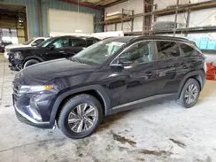 KM8JBCA12NU081375 2022 HYUNDAI TUCSON
