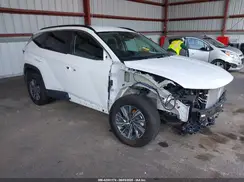 KM8JBCA12PU096106 2023 HYUNDAI TUCSON
